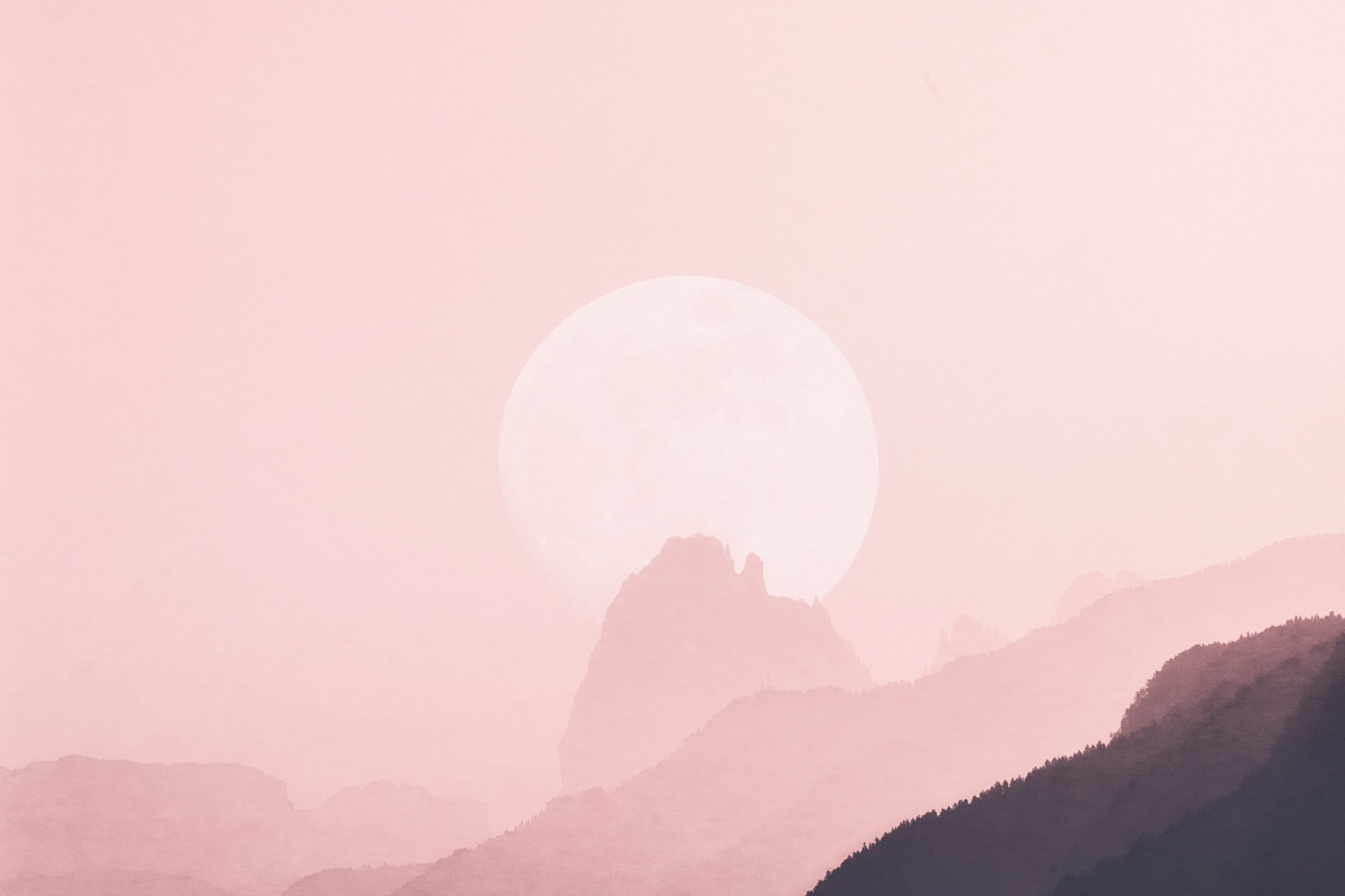 eberhard-grossgasteiger